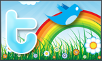 Follow Ayla's Tweets