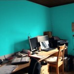 nuthatch office