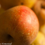 fruit-04