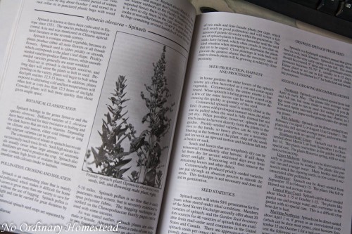 seed-to-seed-review-01 seed to seed book review
