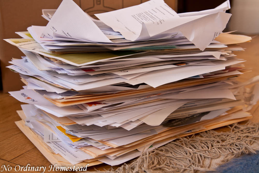 Essay file essaywriterdodo Essay file essaywriterdodo picture