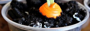 carrot patch easter treats