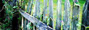 photo credit: mbtphoto (away a lot) via photopin cc