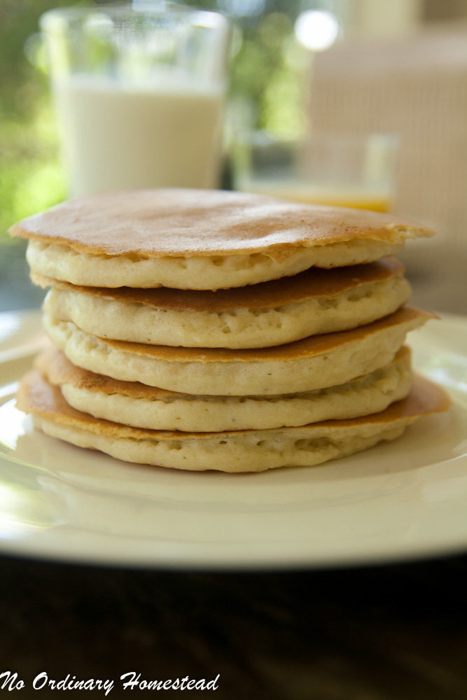 Homemade Buttermilk Pancake Recipe No Ordinary Homestead