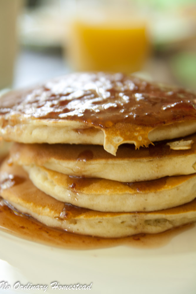 Homemade Buttermilk Pancake Recipe No Ordinary Homestead