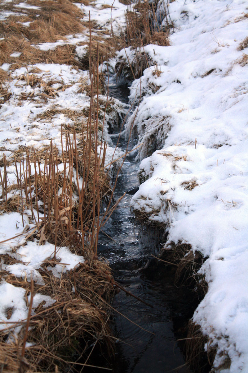 nadling_stream