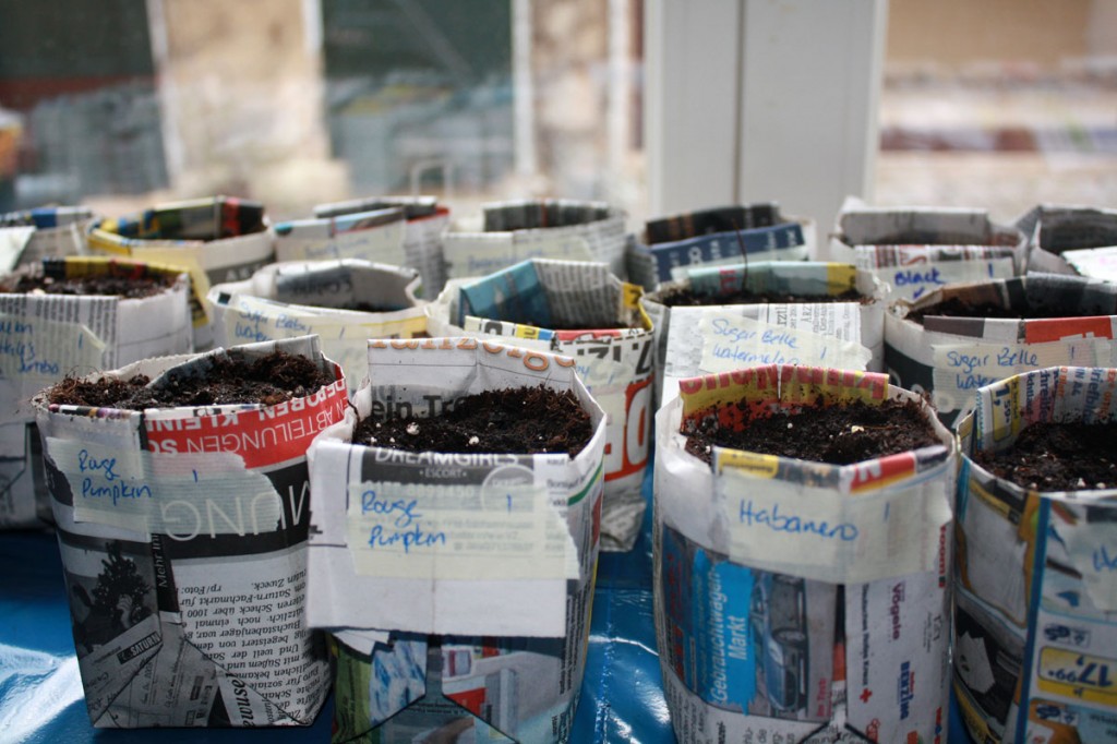 planting seeds round 1 2009