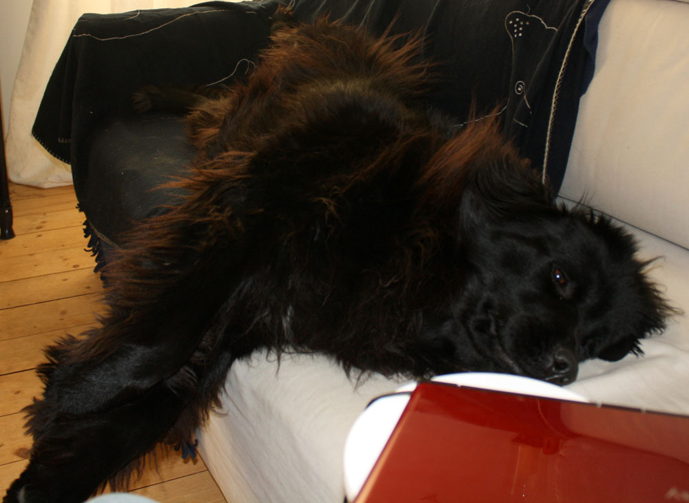 couchlock