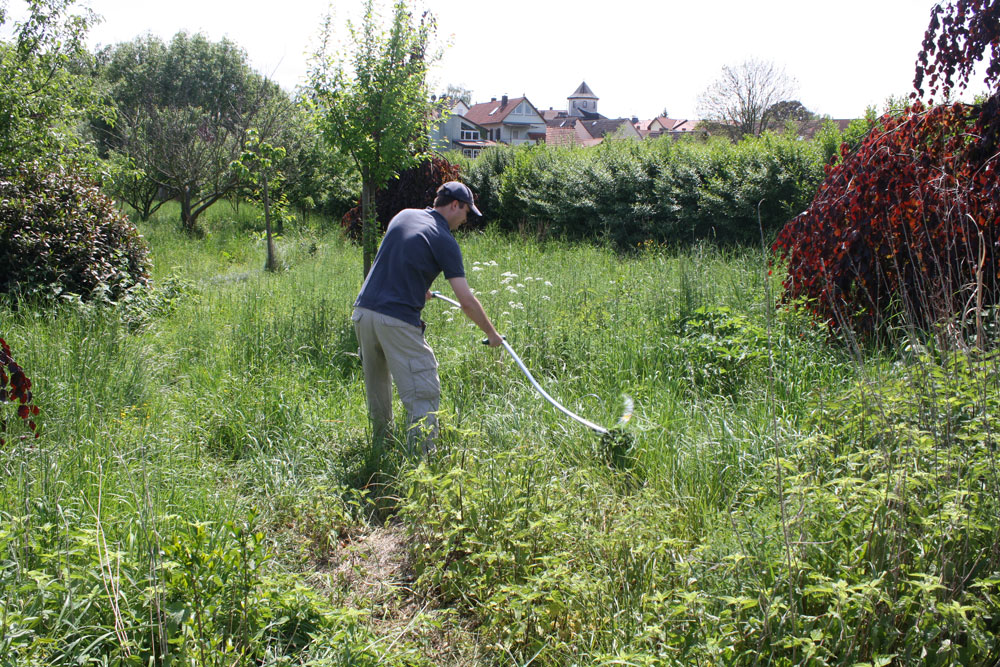 orchard cleanup 05102009 scythe