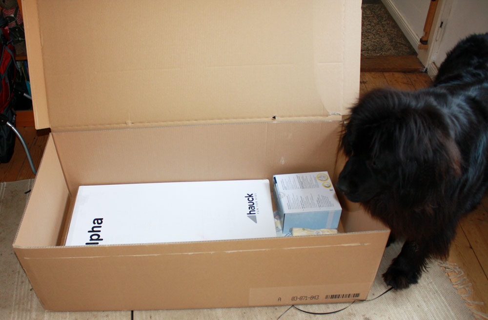 massive shipping box with newfie