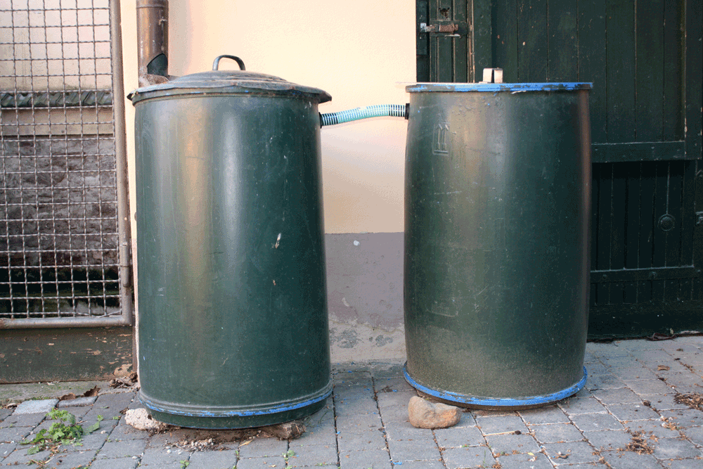 rain collection barrels