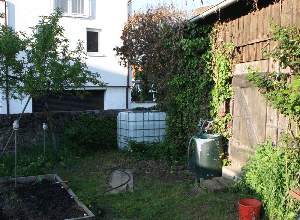 garden rain collection IBC tank