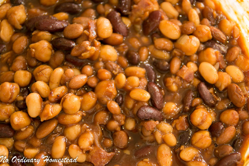 5-Bean Baked Beans – The perfect side dish