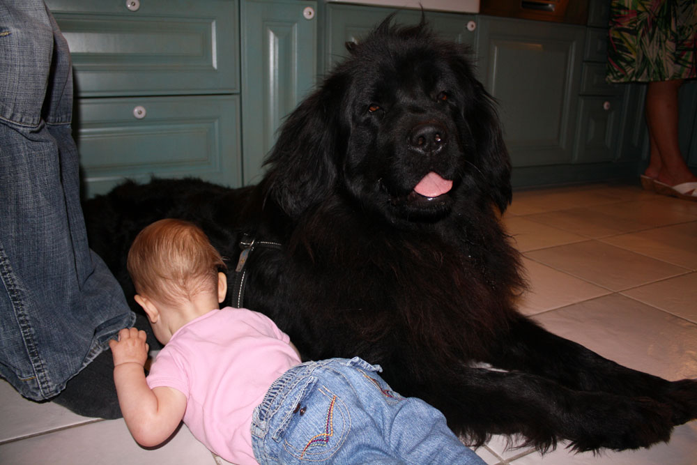 playing with mack 01