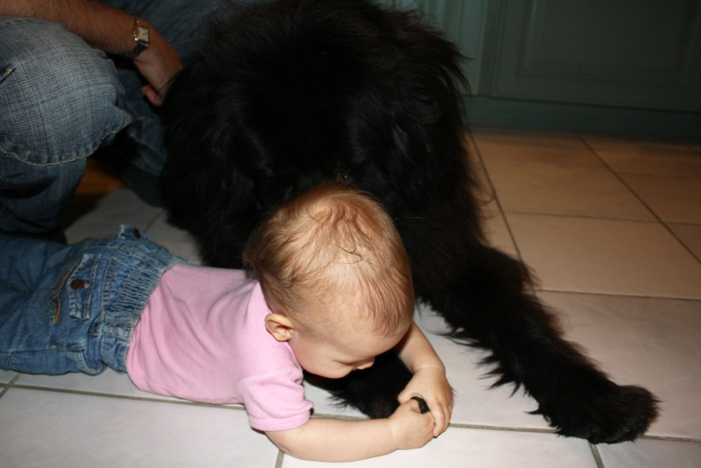 playing with mack 02