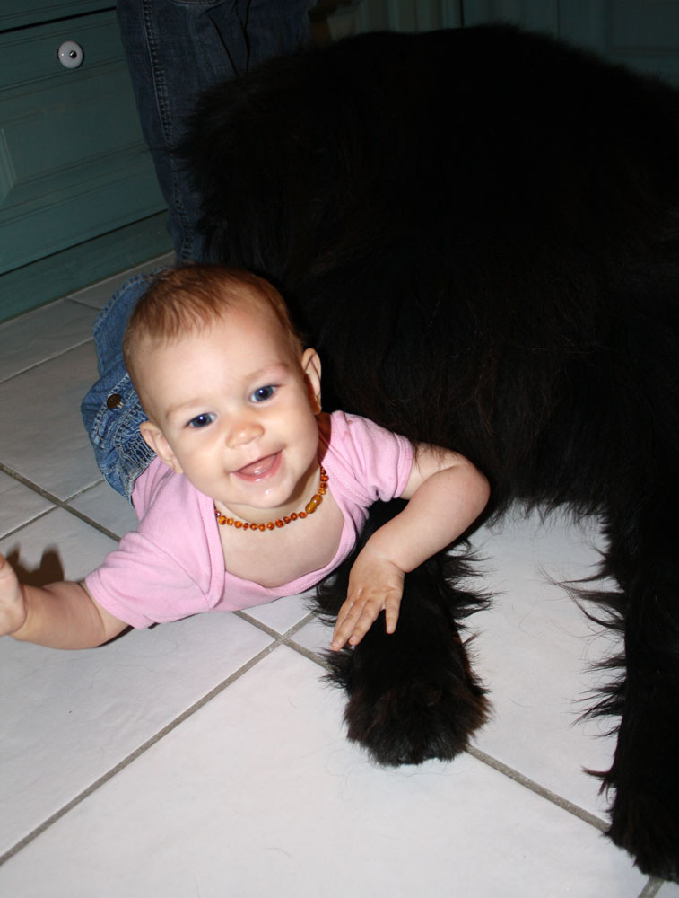 playing with mack 03