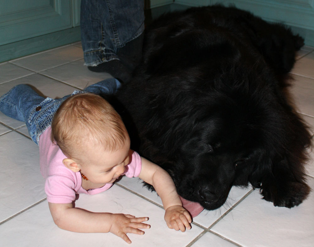 playing with mack 04