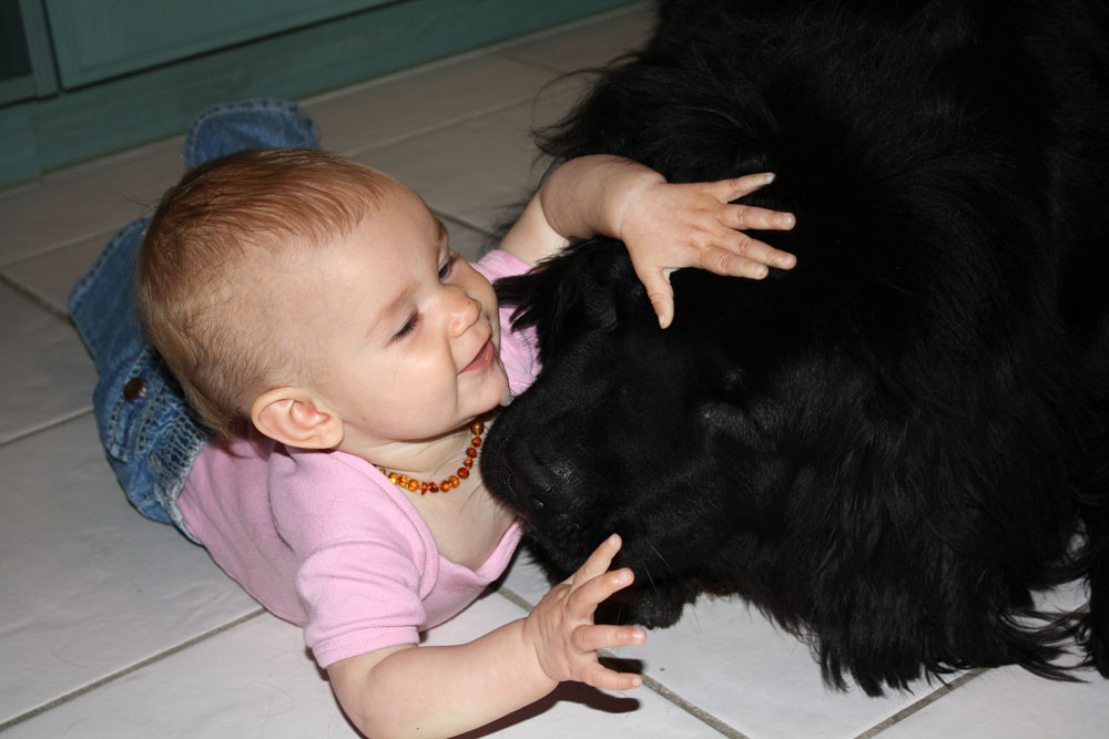playing with mack 06