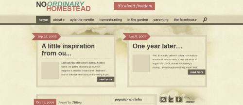 Why using just any old theme could destroy your site