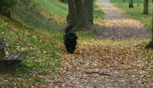 Ayla fall walk