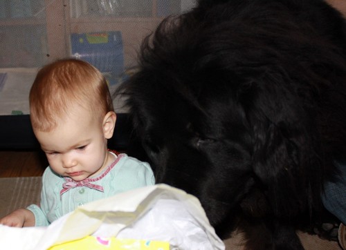 Mackenzie 1st birthday with ayla 01