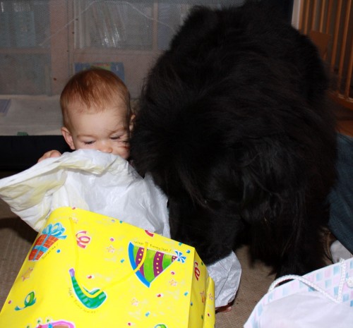 Mackenzie 1st birthday with ayla 02