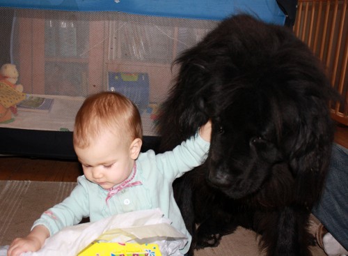 Mackenzie 1st birthday with ayla 03