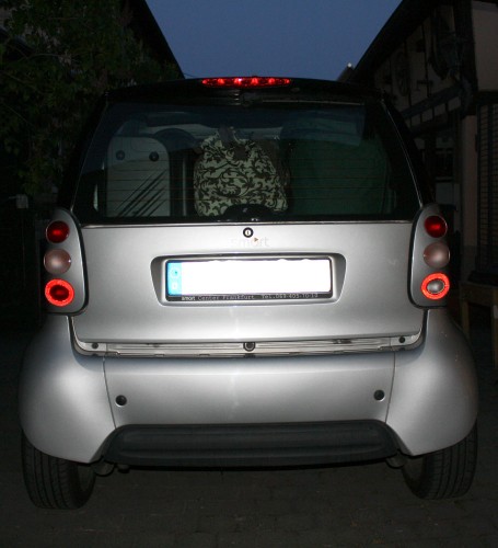 smart fortwo luggage