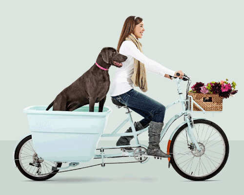 Madsen Cycles Cargo Bikes