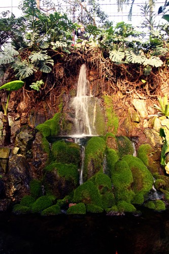 palmengarten frankfurt