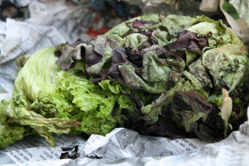 food waste friday 