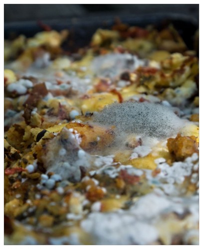 stop wasting food