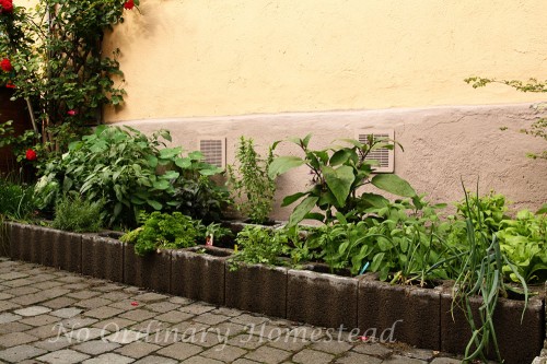 container garden