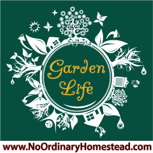 {Garden Life}  Why Heirloom is Worth It