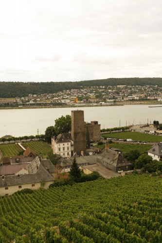 rudesheim gondola ride