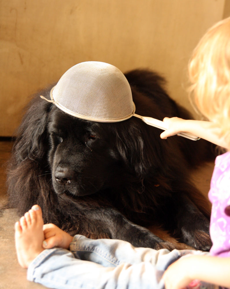 Woof Wednesday: Rough puppy life