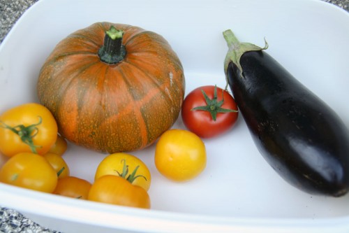 garden blog hop