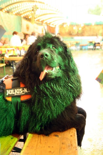 laternenfest 2011