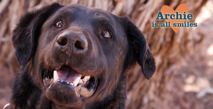 Woof Wednesday: Back in Black