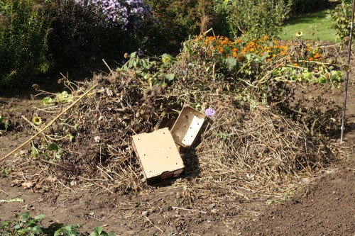compost-heap