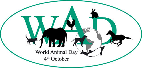 Woof Wednesday: World Animal Day – Oct 4