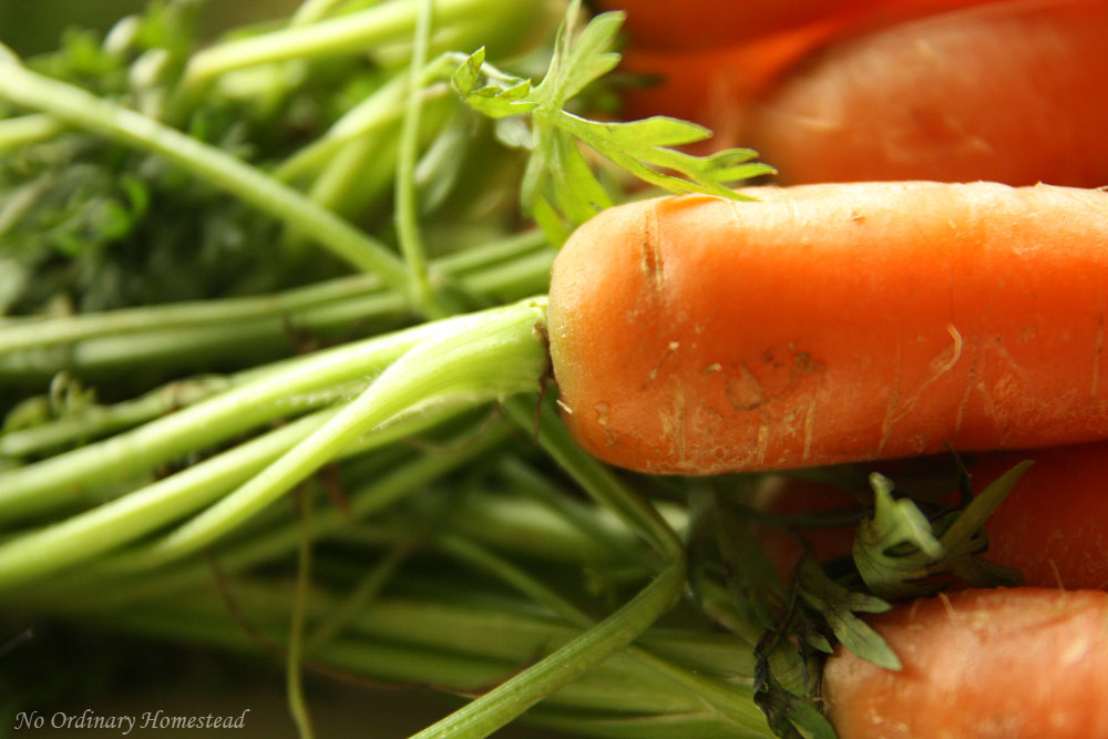 Capturing Fresh