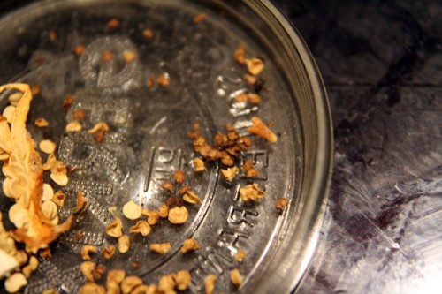 saving jalapeno seeds