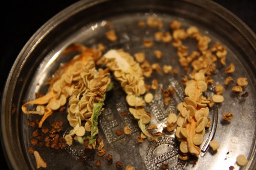 save jalapeno seeds
