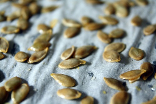 roasting pumpkin seeds