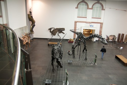 senckenberg frankfurt