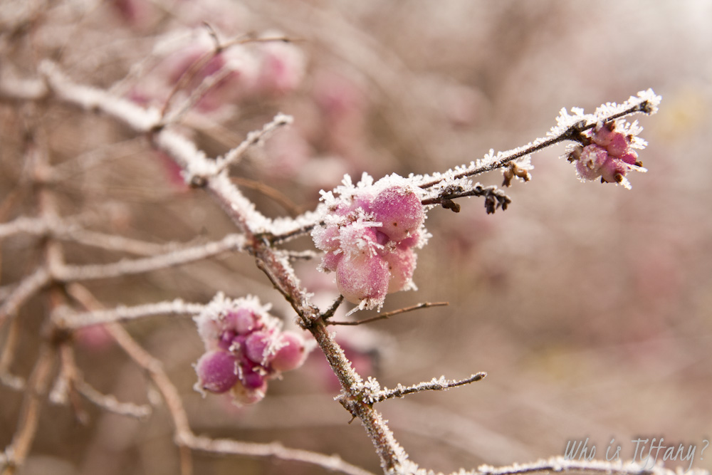 Keep warm in the cold of winter
