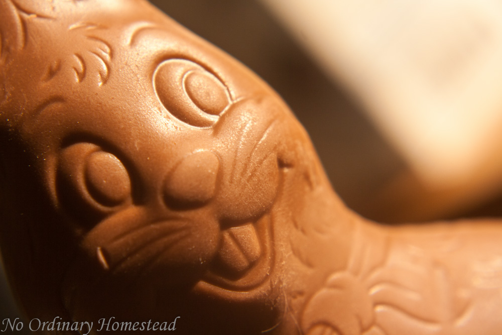 Chocolate dreams
