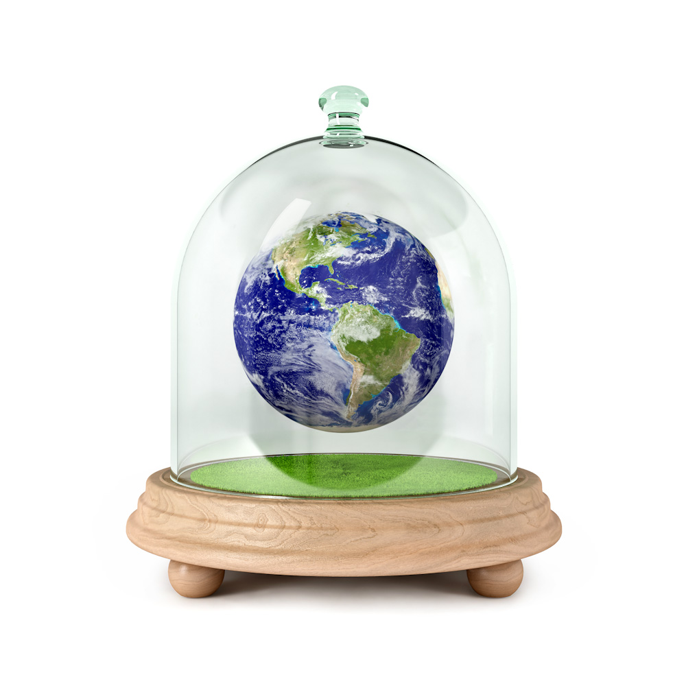 Emotional Intelligence Supports Sustainable Choices