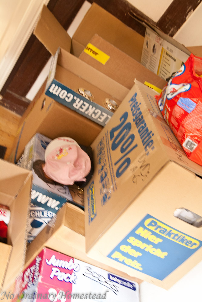 Capturing life - No Ordinary Homestead